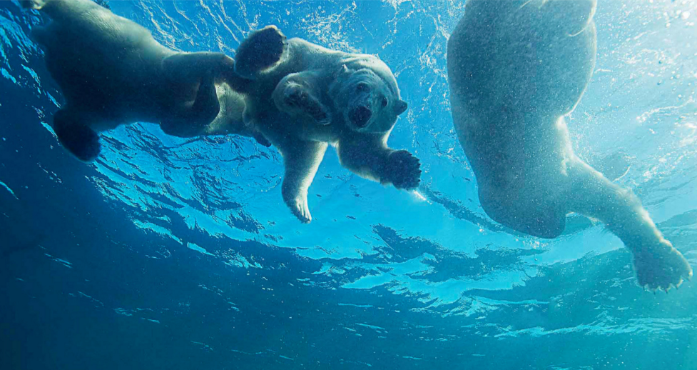 1593396559956970.png image.png