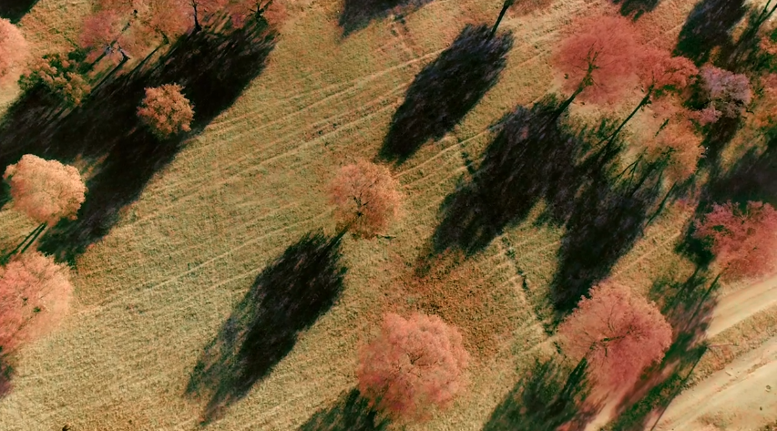 1595213674724588.png e1fe9ec9e12afe46b95ca5f089e0434.png